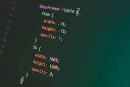 Front-end Development