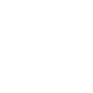 dplus intertrade logo