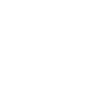 pwc logo